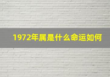 1972年属是什么命运如何