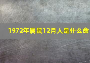 1972年属鼠12月人是什么命