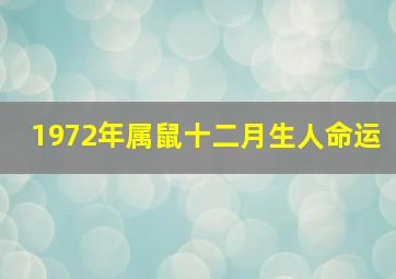 1972年属鼠十二月生人命运