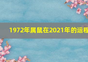 1972年属鼠在2021年的运程