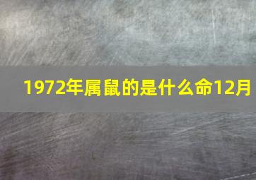 1972年属鼠的是什么命12月