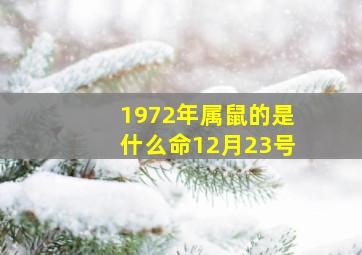 1972年属鼠的是什么命12月23号