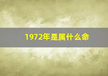 1972年是属什么命