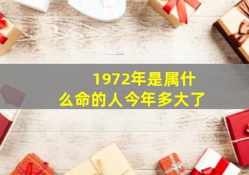 1972年是属什么命的人今年多大了