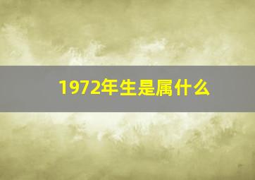 1972年生是属什么