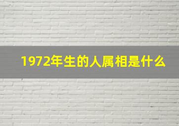 1972年生的人属相是什么