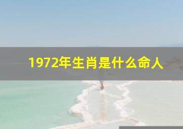 1972年生肖是什么命人