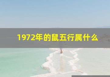 1972年的鼠五行属什么