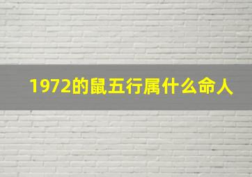 1972的鼠五行属什么命人