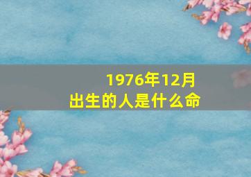 1976年12月出生的人是什么命