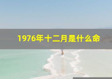 1976年十二月是什么命