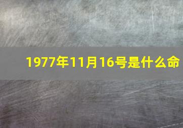 1977年11月16号是什么命