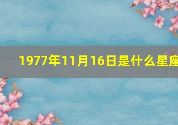 1977年11月16日是什么星座