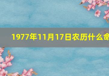 1977年11月17日农历什么命