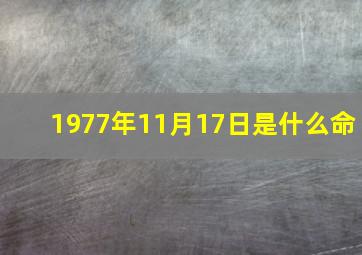 1977年11月17日是什么命