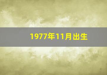 1977年11月出生