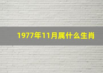 1977年11月属什么生肖