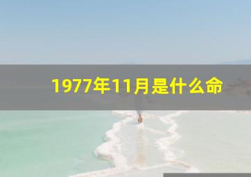 1977年11月是什么命