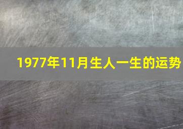 1977年11月生人一生的运势