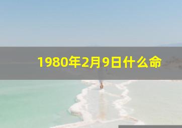 1980年2月9日什么命