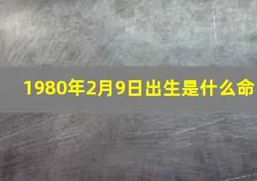 1980年2月9日出生是什么命