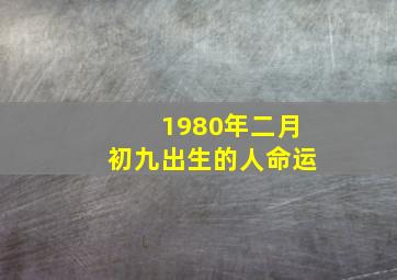 1980年二月初九出生的人命运