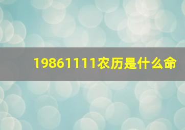 19861111农历是什么命