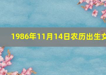 1986年11月14日农历出生女