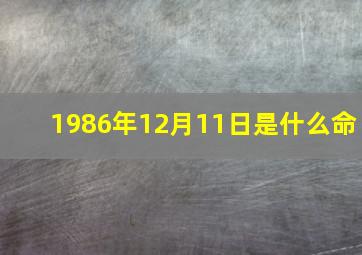 1986年12月11日是什么命