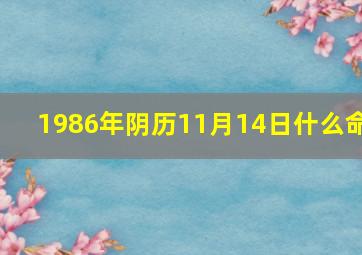 1986年阴历11月14日什么命