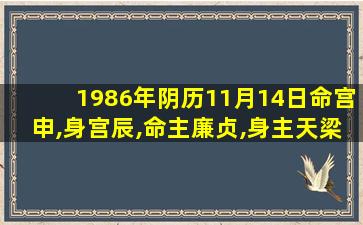 1986年阴历11月14日命宫申,身宫辰,命主廉贞,身主天梁