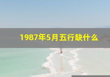 1987年5月五行缺什么