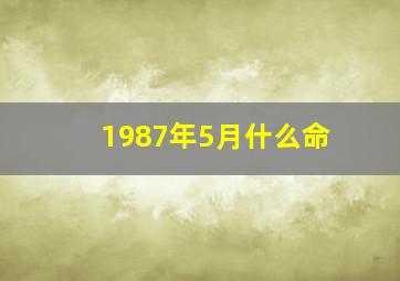 1987年5月什么命