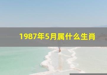 1987年5月属什么生肖