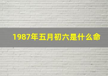 1987年五月初六是什么命