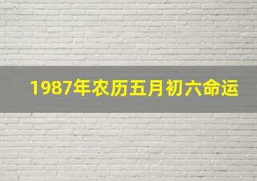 1987年农历五月初六命运