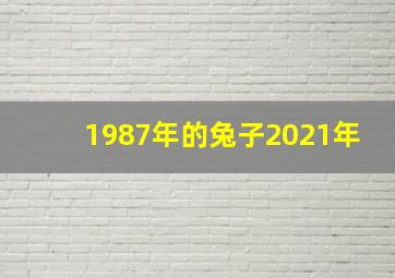 1987年的兔子2021年