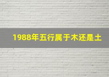 1988年五行属于木还是土