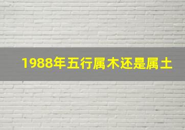 1988年五行属木还是属土