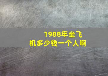 1988年坐飞机多少钱一个人啊