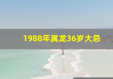 1988年属龙36岁大忌