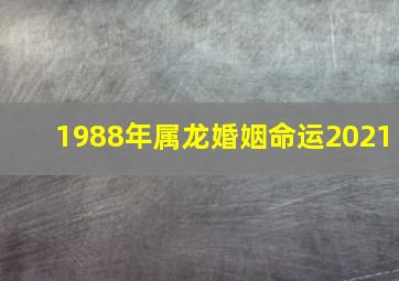 1988年属龙婚姻命运2021