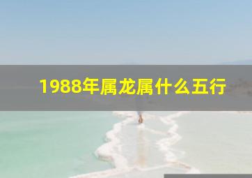 1988年属龙属什么五行