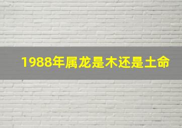 1988年属龙是木还是土命