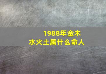 1988年金木水火土属什么命人