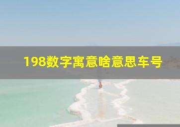 198数字寓意啥意思车号