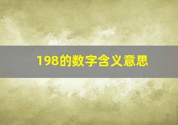 198的数字含义意思