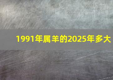 1991年属羊的2025年多大