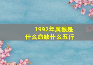 1992年属猴是什么命缺什么五行