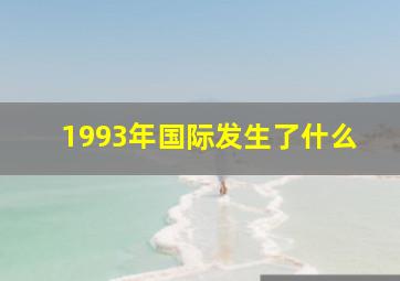 1993年国际发生了什么